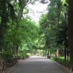 ～・ 林試の森公園付近に佇む限定 A号棟≪目黒プレミア≫新築戸建 ・～